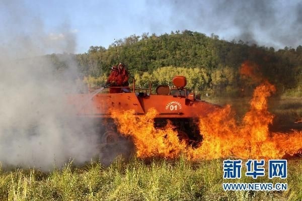 【動(dòng)畫(huà)】森林草原防火“十不準(zhǔn)”“五不燒”！這些安全知識(shí)要牢記